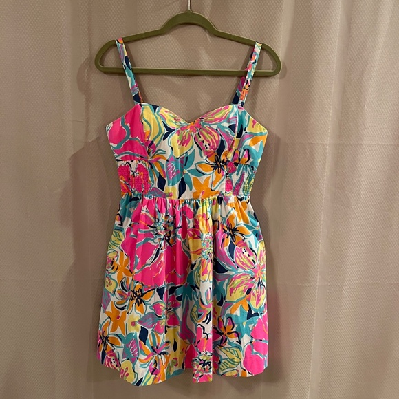 Lilly Pulitzer Christine Besame Mucho Smocked Poplin Fit & Flare Dress Sz10 - Picture 10 of 16